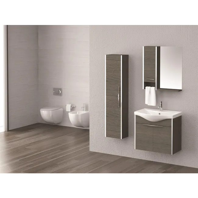 PETEK ALPİ 65 CM BANYO DOLABI